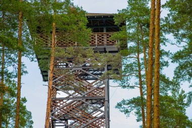 Yüksek bir gözlem kulesi verimli çam ağaçlarının arasında yüksek bir görüş açısı sunuyor. Yapının karmaşık kafes dizaynı doğal çevreyle çelişiyor ve benzersiz bir görsel yaratıyor..