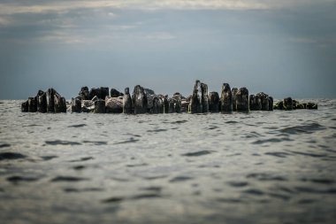 Bir sıra yıpranmış ahşap direkler ve kayalar bulutlu bir gökyüzünün altında sakin bir denizden çıkar. Sahne huzurlu ve zamansız bir atmosfer yayar..