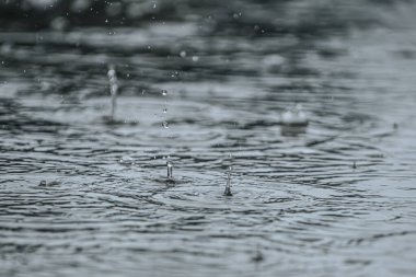 Su yüzeyine düşen yağmur damlalarına yaklaşmak dalgalanmalar ve sıçramalar yaratır. Monokromatik tonlar, yağmurun güzelliğini yakalayarak rahatlatıcı ve huzurlu bir atmosfer sağlar..