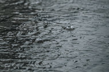 Su yüzeyine düşen yağmur damlalarına yaklaşmak dalgalanmalar ve sıçramalar yaratır. Monokromatik tonlar, yağmurun güzelliğini yakalayarak rahatlatıcı ve huzurlu bir atmosfer sağlar..