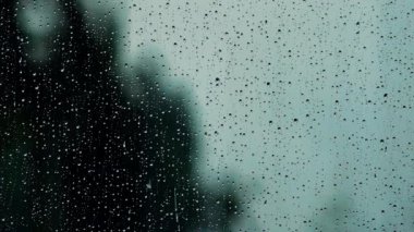 Penceredeki yağmur damlaları, dışarıdaki ağaçların bulanık görüntüsüyle dingin ve yağmurlu bir atmosfer yaratıyor..