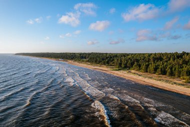 Dalgaların yoğun yeşil bir ormanla çevrili kumlu sahili nazikçe kapladığı manzaralı bir sahil manzarası. Mavi gökyüzü bulutlarla kaplı, dingin ve resimsel bir manzara yaratıyor.