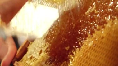 Bal peteğinden bal toplamak için kullanılan metal kazıyıcıyı gösteren yakın plan bir resim. Altın bal ve balmumu ışıkta parlar, bal peteği hücrelerinin dokusunu vurgular..