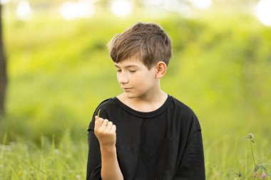 Siyah gömlekli genç bir çocuk elinde bir çimen sapı tutarken haylaz bir gülümseme ile aşağıya bakıyor. Yumuşak, yeşil arka plan onun neşeli ve neşeli ifadesini vurguluyor..