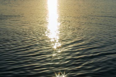 Güneş ışığı, sakin okyanus sularının yüzeyinde parıldar. Huzurlu ve parıldayan bir ufuk yaratır. Huzurlu, minimalist deniz manzarası ışığın yumuşak yansımasıyla sükunet yayar..