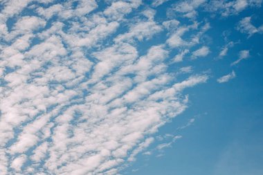 Yumuşak, beyaz bulutların sakin bir görüntüsü. Parlak mavi gökyüzüne yayılmış. Huzurlu ve havadar bir atmosfer yaratıyor..