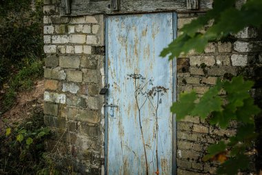 Pas lekeli, asma kilitle kilitlenmiş, yıpranmış tuğla duvara dayanmış kırsal mavi bir kapı. Önünde yabani bitkiler büyür, yeşillik sahneyi kısmen çerçeveler..