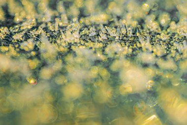 Güneş ışığının yumuşak parıltısında parıldayan buz kristallerinin narin güzelliğini yakalayan makro bir çekim. Buz tabakasının karmaşık yapıları altın ve mavi ipuçlarıyla parıldıyor, büyüleyici bir şey yaratıyor.