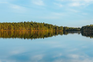 Berrak mavi gökyüzünün altında yoğun bir ormanı yansıtan sakin bir göl içeren huzurlu bir manzara. Çimenli kıyı şeridi sıcacık, altın ışıkla yıkanır ve manzaraya derinlik ve sükunet katar..