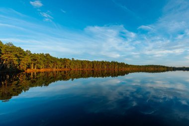 Orman ve mavi gökyüzünün çarpıcı bir yansıması. Tamamen sakin bir göl üzerinde beyaz bulutlar. Sakin manzara, durgun suyun ve çevreleyen ağaçların doğal güzelliğini gözler önüne seriyor..