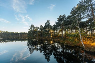 Güneşin yoğun bir ormanın içinden gizlice baktığı güzel bir günbatımı sakin göl boyunca parlak bir güneş patlaması yaratıyor. Ağaçlar ve gökyüzü suyu mükemmel yansıtıyor. Huzurlu ve huzurlu bir manzara yaratıyor..