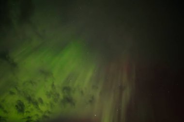 Aurora Borealis 'in barışçıl bir görüntüsü yıldızlı gece gökyüzünde yumuşak yeşil ışık saçar. Nazik parıltı karanlık arka plana karışıyor, dingin ve ruhani bir atmosfer yaratıyor..