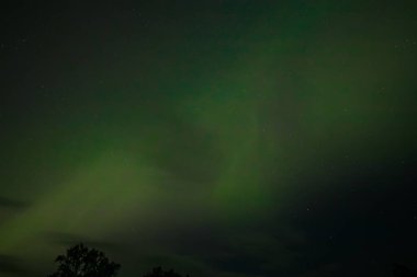  Yumuşak yeşil aurora borealis, yıldızlı bir gece gökyüzünde usulca süzülür ve dingin ve göksel bir manzara yaratır. Uzak yıldızlar, kuzey ışıklarının sönük parıltısında parıldıyor..