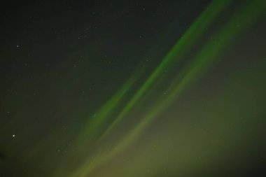  Yumuşak yeşil aurora borealis, yıldızlı bir gece gökyüzünde usulca süzülür ve dingin ve göksel bir manzara yaratır. Uzak yıldızlar, kuzey ışıklarının sönük parıltısında parıldıyor..