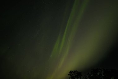  Yumuşak yeşil aurora borealis, yıldızlı bir gece gökyüzünde usulca süzülür ve dingin ve göksel bir manzara yaratır. Uzak yıldızlar, kuzey ışıklarının sönük parıltısında parıldıyor..