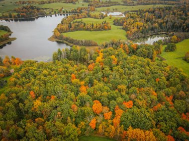 Sakin bir gölü çevreleyen yeşil, turuncu ve sarı ağaçlarla sonbahara dönüşen bir ormanın havadan görünüşü. Manzara çimenli tarlaları, dolambaçlı su kütlelerini içerir.