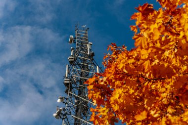 Açık mavi gökyüzüne karşı antenli yüksek bir iletişim kulesi yükseliyor. Yakın bir ağaçtan gelen parlak turuncu sonbahar yaprakları ön plana canlı renkler ekleyerek kontrastı oluşturur. Boşluğu kopyala.