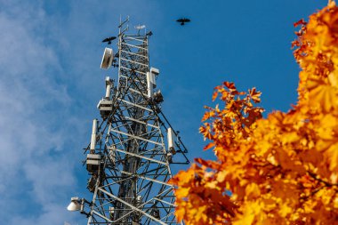 Açık mavi gökyüzüne karşı antenli yüksek bir iletişim kulesi yükseliyor. Yakın bir ağaçtan gelen parlak turuncu sonbahar yaprakları ön plana canlı renkler ekleyerek kontrastı oluşturur. Boşluğu kopyala.