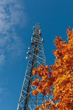 Açık mavi gökyüzüne karşı antenli yüksek bir iletişim kulesi yükseliyor. Yakın bir ağaçtan gelen parlak turuncu sonbahar yaprakları ön plana canlı renkler ekleyerek kontrastı oluşturur. Boşluğu kopyala.