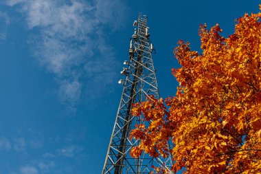 Açık mavi gökyüzüne karşı antenli yüksek bir iletişim kulesi yükseliyor. Yakın bir ağaçtan gelen parlak turuncu sonbahar yaprakları ön plana canlı renkler ekleyerek kontrastı oluşturur. Boşluğu kopyala.