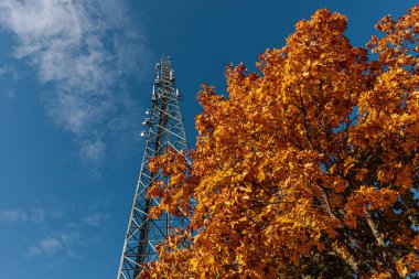 Açık mavi gökyüzüne karşı antenli yüksek bir iletişim kulesi yükseliyor. Yakın bir ağaçtan gelen parlak turuncu sonbahar yaprakları ön plana canlı renkler ekleyerek kontrastı oluşturur. Boşluğu kopyala.