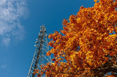 Açık mavi gökyüzüne karşı antenli yüksek bir iletişim kulesi yükseliyor. Yakın bir ağaçtan gelen parlak turuncu sonbahar yaprakları ön plana canlı renkler ekleyerek kontrastı oluşturur. Boşluğu kopyala.
