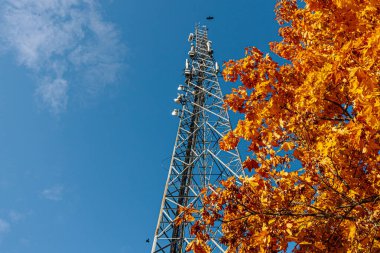 Açık mavi gökyüzüne karşı antenli yüksek bir iletişim kulesi yükseliyor. Yakın bir ağaçtan gelen parlak turuncu sonbahar yaprakları ön plana canlı renkler ekleyerek kontrastı oluşturur. Boşluğu kopyala.