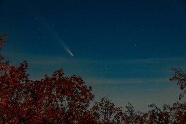 Kuyrukluyıldız Tsuchinshan-ATLAS gece gökyüzünde uzun ve parlak bir kuyruğuyla parlar. Kuyrukluyıldız, sayısız soluk yıldızla çevrilidir.