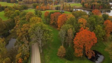 Bir dron, arka planında dingin bir göl bulunan canlı sarı ve kırmızı ağaçların nefes kesici sonbahar sahnesini yakalar. Renkli yapraklar durgun suyla çok güzel zıtlaşıyor.