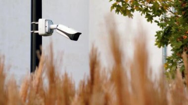 Sonbahar renkli bitki ve ağaçların olduğu bir alana bakan bir direğe monte edilmiş bir güvenlik kamerası. Arka plan hafifçe bulanık, sakin bir karşıtlık oluşturuyor.