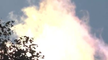 Mavi gökyüzünde hareket eden bulutları gösteren dinamik bir sahne. Ağaçların dalları ön planda yavaşça sallanıyor. İnce hareket rahatlatıcı bir doğal atmosfer yaratır..