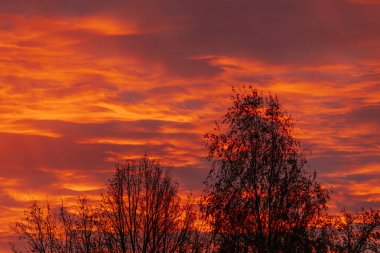 Gökyüzünü kaplayan koyu kırmızı, turuncu ve mor renklerle dolu, ağaç çizgileriyle siluetlenmiş canlı, dramatik bir gün batımı. Yükselen gökyüzü çarpıcı ve karamsar bir atmosfer yaratır..