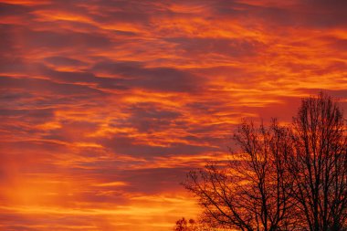 Gökyüzünü kaplayan koyu kırmızı, turuncu ve mor renklerle dolu, ağaç çizgileriyle siluetlenmiş canlı, dramatik bir gün batımı. Yükselen gökyüzü çarpıcı ve karamsar bir atmosfer yaratır..