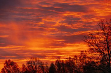 Gökyüzünü kaplayan koyu kırmızı, turuncu ve mor renklerle dolu, ağaç çizgileriyle siluetlenmiş canlı, dramatik bir gün batımı. Yükselen gökyüzü çarpıcı ve karamsar bir atmosfer yaratır..