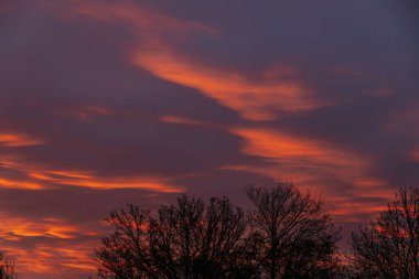 Gökyüzünü kaplayan koyu kırmızı, turuncu ve mor renklerle dolu, ağaç çizgileriyle siluetlenmiş canlı, dramatik bir gün batımı. Yükselen gökyüzü çarpıcı ve karamsar bir atmosfer yaratır..