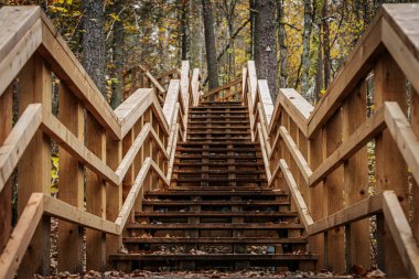 Ahşap bir merdiven sonbahar yapraklarıyla dolu bir ormanın içinden yukarı doğru süzülür. Yol, renkli doğal ortamda ziyaretçilere rehberlik eden sağlam parmaklıklarla doludur.