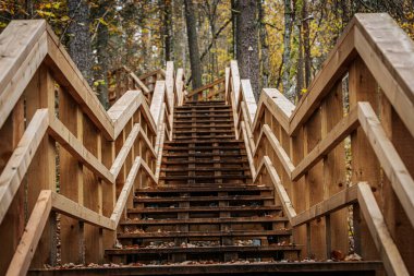 Ahşap bir merdiven sonbahar yapraklarıyla dolu bir ormanın içinden yukarı doğru süzülür. Yol, renkli doğal ortamda ziyaretçilere rehberlik eden sağlam parmaklıklarla doludur.