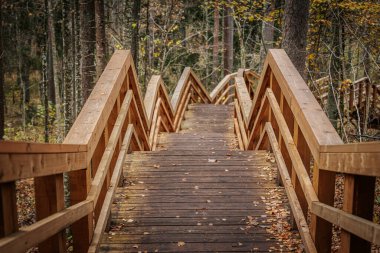 Ahşap bir merdiven sonbahar yapraklarıyla dolu bir ormanın içinden yukarı doğru süzülür. Yol, renkli doğal ortamda ziyaretçilere rehberlik eden sağlam parmaklıklarla doludur.