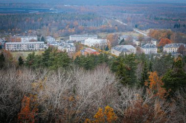 Sonbaharda sık bir ormanın havadan çekilmiş görüntüleri. İçinde liken kaplı çıplak ağaçlar var. Manzara, kozalaklı ve yaprak döken ağaçların karışımından oluşan orman katmanlarını göstererek uzaklığa kadar uzanıyor.