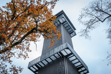 Zilaiskalns 'daki modern bir gözlem kulesi, ağaçtaki canlı sonbahar yapraklarıyla çerçevelenmiş. Yapının parlak tasarımı doğal ortamla çelişiyor ve çarpıcı bir sahne yaratıyor.