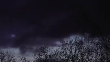 Güneş ışığıyla aydınlatılan parlak yeşil bir ağacın üzerinde kara bulutlar belirir. Fırtınalı gökyüzü ile ön plandaki parlak yapraklar arasında çarpıcı bir kontrastlık yaratır..