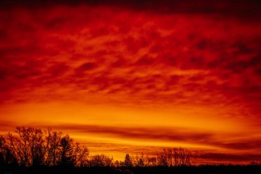 Gökyüzünü kaplayan koyu kırmızı, turuncu ve mor renklerle dolu, ağaç çizgileriyle siluetlenmiş canlı, dramatik bir gün batımı. Yükselen gökyüzü çarpıcı ve karamsar bir atmosfer yaratır..