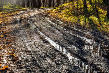Sonbahar yapraklarıyla kaplı bir ormanda, yağmurdan sonra su birikintileri olan kirli bir patika. Güneş ışığı ağaçların arasından süzülür, noktalı ışık efektleri yaratır..