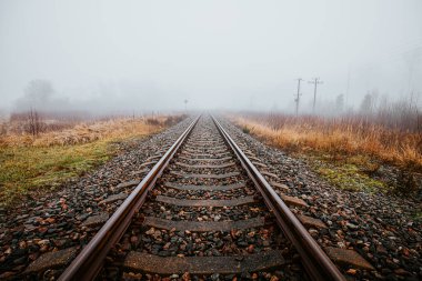 Ufukta beliren sisli tarlalar ve çimlerle çevrili düz demiryolu rayları. Sis ve soluk renkler yalnızlığı ve huzuru çağrıştırıyor..