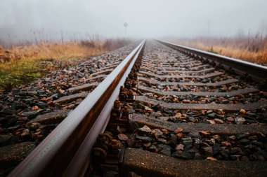 Ufukta beliren sisli tarlalar ve çimlerle çevrili düz demiryolu rayları. Sis ve soluk renkler yalnızlığı ve huzuru çağrıştırıyor..