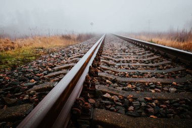 Ufukta beliren sisli tarlalar ve çimlerle çevrili düz demiryolu rayları. Sis ve soluk renkler yalnızlığı ve huzuru çağrıştırıyor..