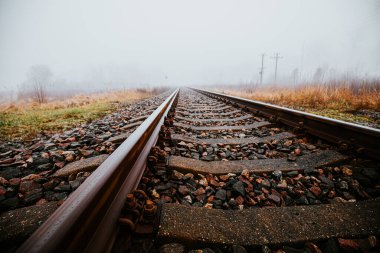 Ufukta beliren sisli tarlalar ve çimlerle çevrili düz demiryolu rayları. Sis ve soluk renkler yalnızlığı ve huzuru çağrıştırıyor..