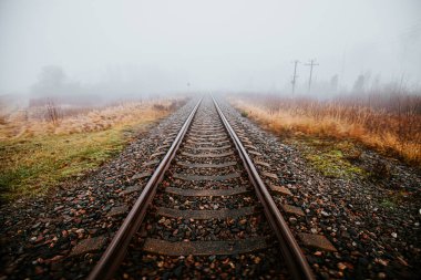 Ufukta beliren sisli tarlalar ve çimlerle çevrili düz demiryolu rayları. Sis ve soluk renkler yalnızlığı ve huzuru çağrıştırıyor..