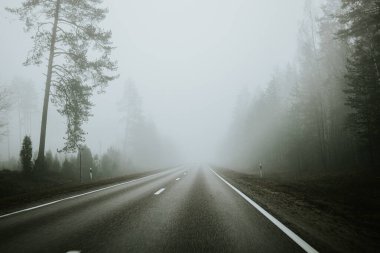 Sisli bir günde yoğun bir ormanda sisli bir yol kıvrılarak sakin ama gizemli bir atmosfer yaratır. Uzun ağaçlar, yayılmış ışık altında sahneyi çerçeveler..