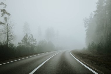 Sisli bir günde yoğun bir ormanda sisli bir yol kıvrılarak sakin ama gizemli bir atmosfer yaratır. Uzun ağaçlar, yayılmış ışık altında sahneyi çerçeveler..